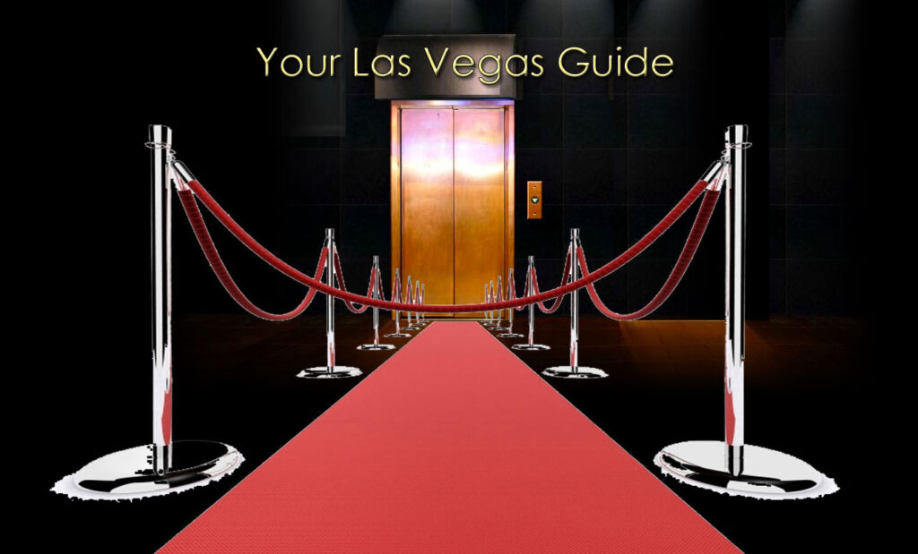 red carpet intro after effects template free download